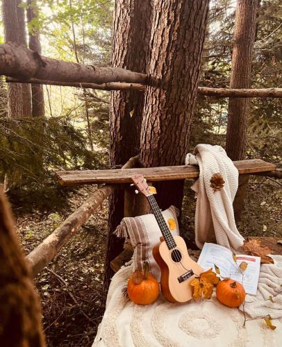 Emilia-Skoczen-kl.-IIIb-c.-4