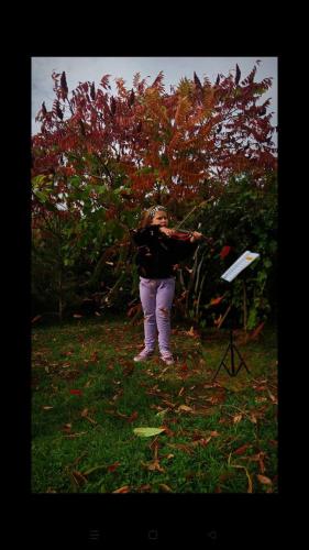 Hanna-Orzechowska-kl.2-c.6