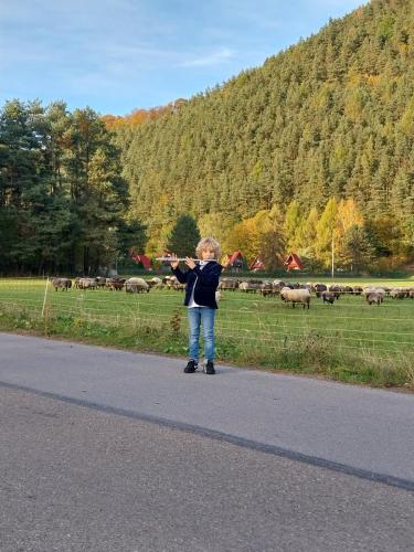 Mieszko-Lebdowicz-kl.-I-c.-6